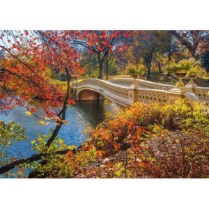 Puzzle 1000 Puente de Central Park, Nueva York